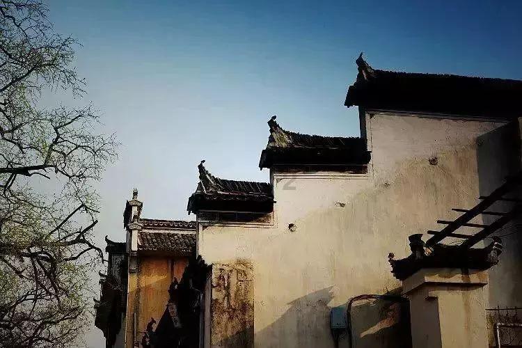 hahabetcom官网星辰大海